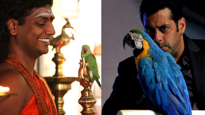 Nithyananda in Bigg Boss 6? Nithyananda in Bigg Boss 6?